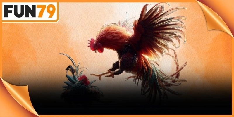 Đấu trường mang đến hệ thống cửa cược rõ ràng cùng tỷ lệ ăn thưởng lớn
