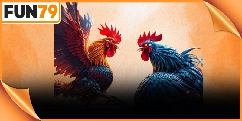 Quy trình tạo tài khoản mới diễn ra vô cùng nhanh chóng thuận tiện.