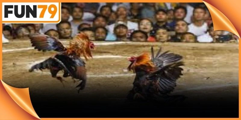 Đấu trường chuyên nghiệp sở hữu quy mô tổ chức hoành tráng hàng đầu